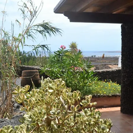 Casita Verde